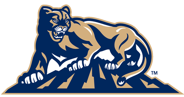 Brigham Young Cougars 1999-2004 Alternate Logo v2 DIY iron on transfer (heat transfer)